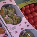 중도매인1호 이미지