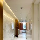 라테라스B 이미지