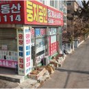 둥지공인중개사사무소 네이버블로그