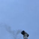 시골바이브 이미지