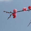 시도 석실로 이미지