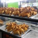 신토바기