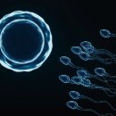 웨일커뮤니케이션즈 이미지