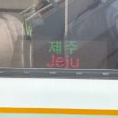 가나제주여행사 | ABC 스쿨 제주 인사이트 트립 ① - 방주교회/본태미술관/동귀리갈칫집/맹그로브 제주 시티