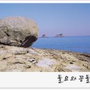 돌묘와꽁돌 Daum카페