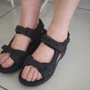 조야엠베테마사이워킹