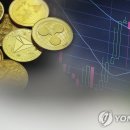 '김치코인' 10개 중 9개는 가격 급등락…"시세조종 취약" 이미지