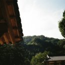 뮤컬러 이미지