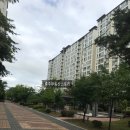 호암마트연수 이미지