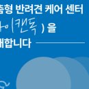 아이캔독 이미지