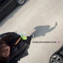 조안나베이킹스튜디오 - 수성구 달구벌대로627길 22-25 | 👩🏻‍🍳무료로 베이킹 배웠다고..? (조안나 베이킹 스튜디오🧁) 대구 취트키 수업중 이벤트 당첨🔥 후기