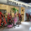 드보라메디컬코스메틱 이미지