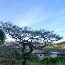 자연주의 조산원 이미지