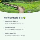 수타사