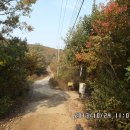 장산1리 이미지