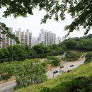 젯마을골 네이버블로그