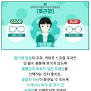 투아이스안경 네이버블로그