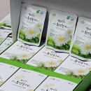 양구흰민들레