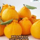 노란농수산