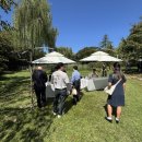 용산-이촌-185 이미지