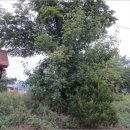 사암6리 이미지