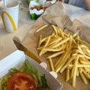 소만주유소 | 뉴질랜드 자유여행 로토루아 레드우즈 공원 타우포 맛집 액티비티 제트보트 후기