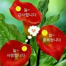 용심경로당 Daum카페