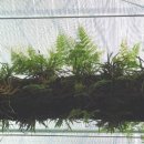 구덕문화공원 이미지