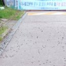 온천천관리사무소 이미지