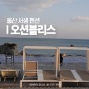 멍블리스 | 울산 펜션 서생 오션블리스 간절곶 진하해수욕장 애견동반 풀빌라 수영장