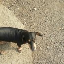 씽크독스쿨 이미지