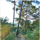 대강면 석촌마을 이미지