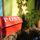 내사랑 동까스 이미지