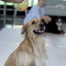 보라눈나 이미지