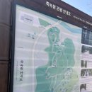 죽녹원 | 담양 여행 코스 추천 | 죽녹원 방문 후기 김순옥도너츠 후기