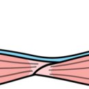 네츄럴 바디 휘트니스 이미지