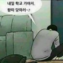 양파의 왕따 일기