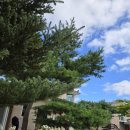 펜션 무이 이미지