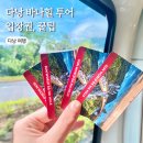 지행기사식당 | 다낭 바나힐 투어 입장권 할인 골든브릿지 루지 알파인코스터 와우패스 꿀팁