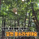 김천물소리생태숲_#2 | 힐링하러 가기 좋은 계곡 김천 물소리생태숲