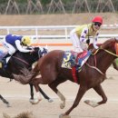 렛츠스포츠 이미지