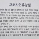교래자연휴양림 이미지