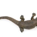 사르코수쿠스 이미지