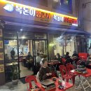 복돈이야