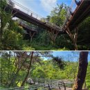 밀양 용두산 생태공원 (금시당길 일부구간) 2025-10-09 목요일 이미지