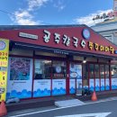 얼큰이칼국수와쭈꾸미 이미지