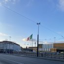 치즈약국 이미지