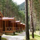 자연나무한의원 이미지