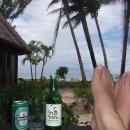 지상낙원 이미지