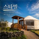 제주자연여행 | 제주 스타빌 내돈내산 후기! 자연이 아름다운 제주 감성 숙소 추천